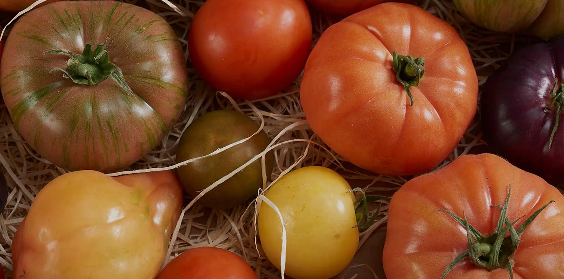 Fresh produce — Why Businesses Choose KAF