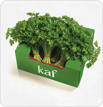 Parsley