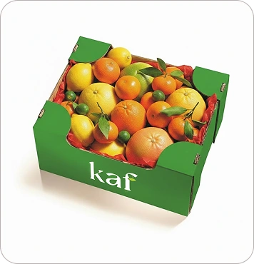 Premium Citrus Box