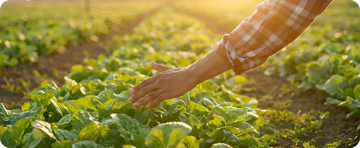 Sustainability &  Responsibility