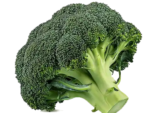 Fresh Produce