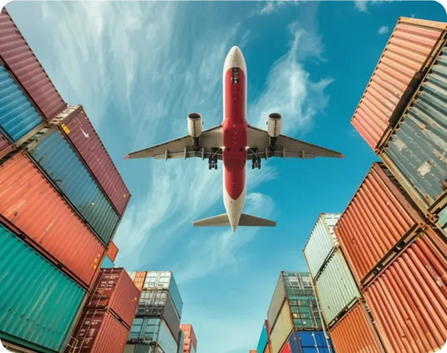 Import &  Export