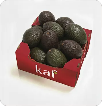 Organic Avocados