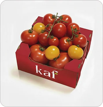 Organic Tomatoes
